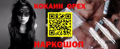 крисы Можга