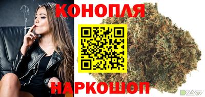 крисы Можга