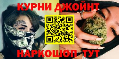 крисы Можга