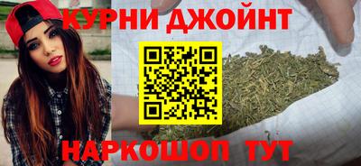 крисы Можга