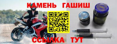 крисы Можга