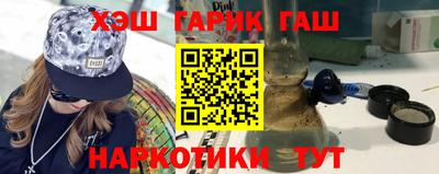 крисы Можга