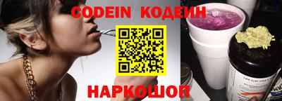крисы Можга