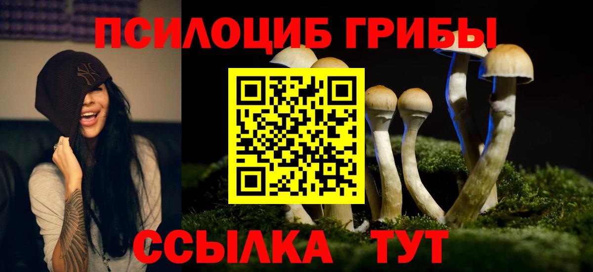 Галлюциногенные грибы мухоморы  Вход с VPN  Чистополь  Псилоцибиновые грибы ЛСД 